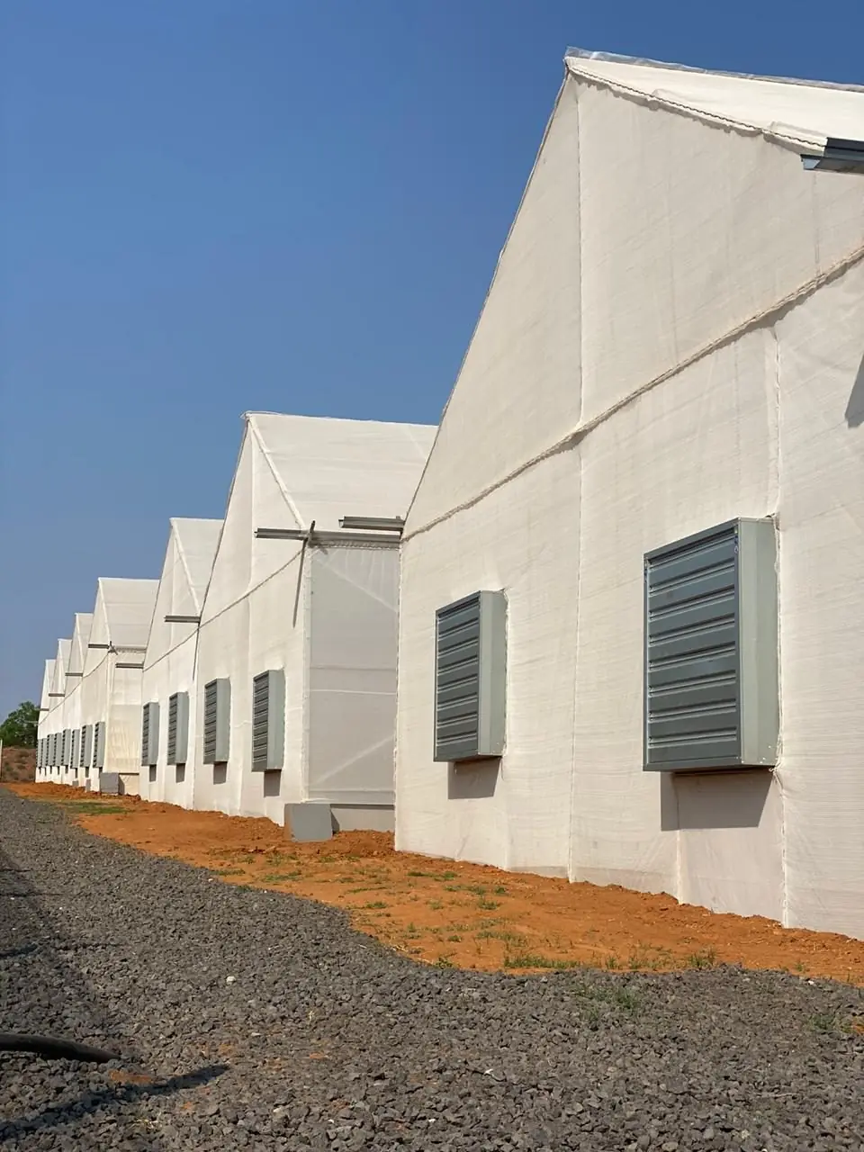 Plexus multi-span greenhouses with extraction fans